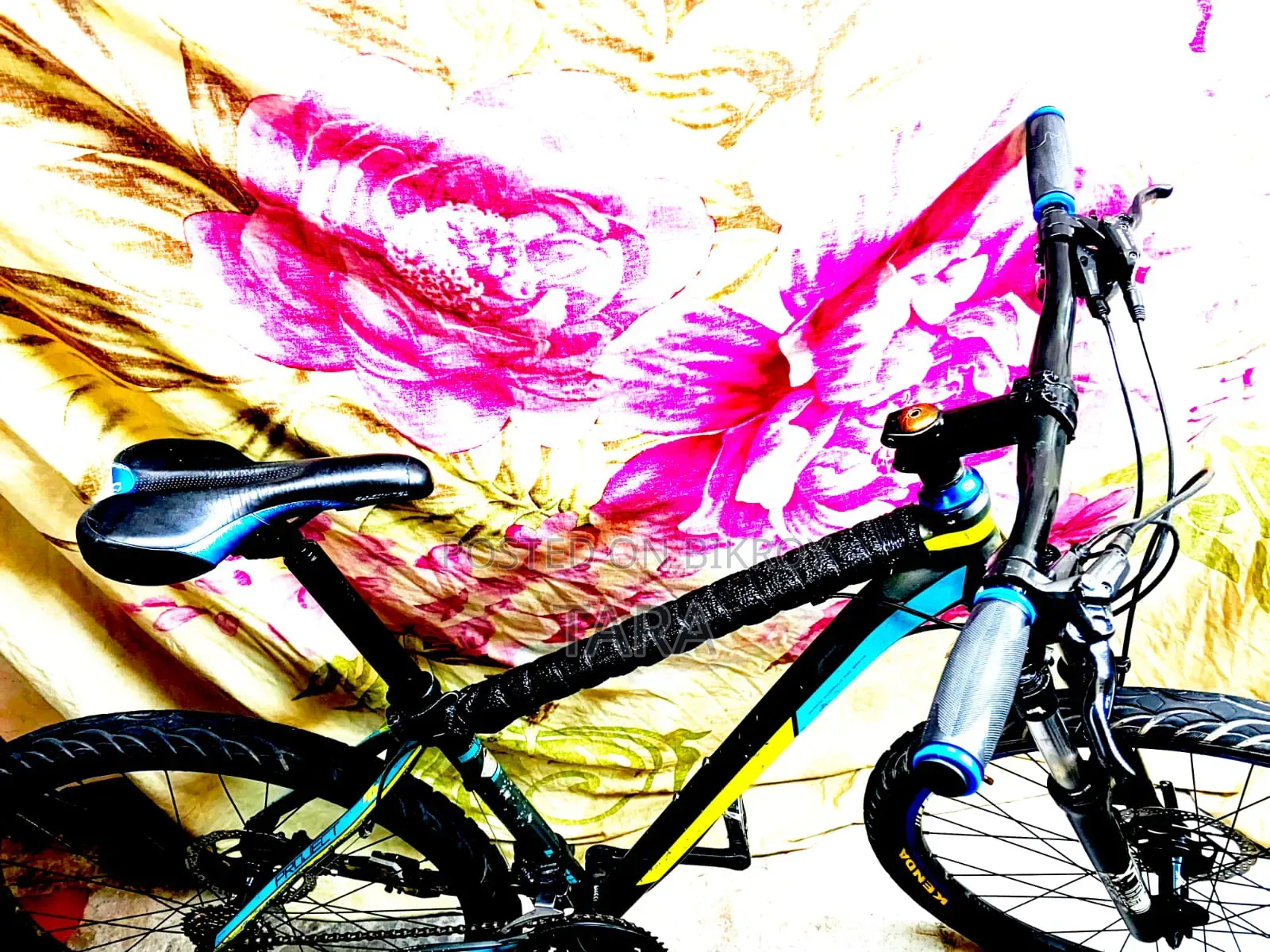 Core Bicycle