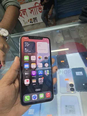 Apple iPhone XS Max 256 GB Silver