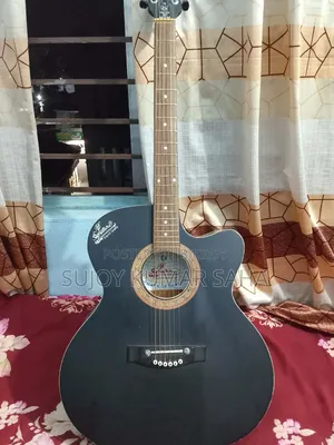 গিটার টি সেল হবে