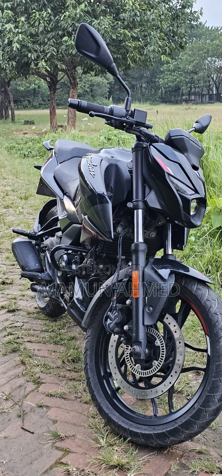 Bajaj Pulsar N250 2023 Black
