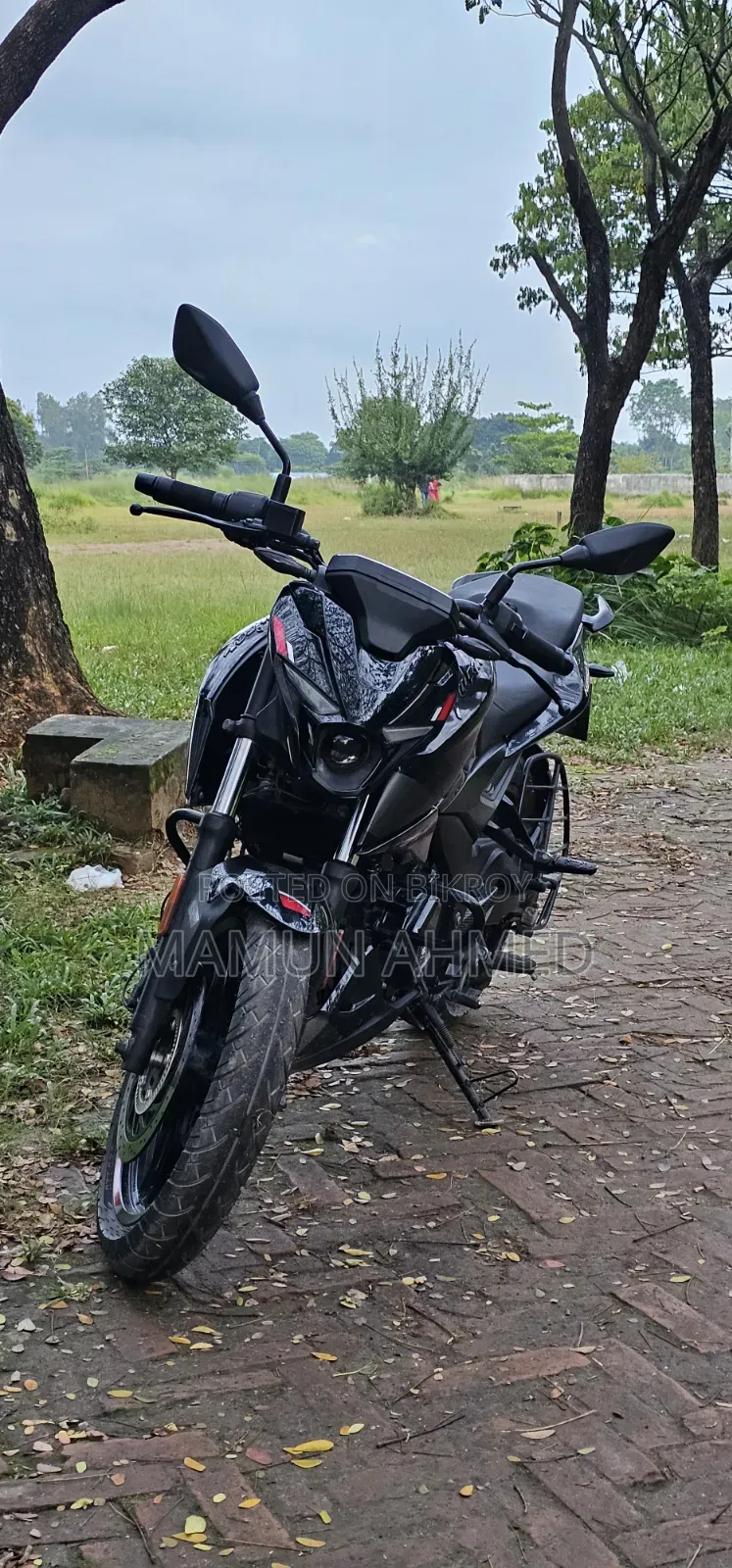 Bajaj Pulsar N250 2023 Black