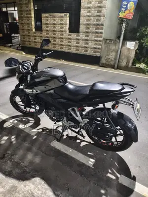 Bajaj Pulsar NS 160 2018 Gray