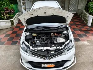 Toyota Axio 2017 Pearl