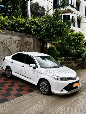 Toyota Axio 2017 Pearl