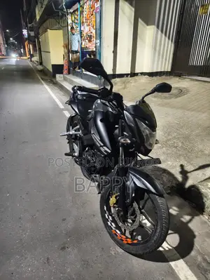Bajaj Pulsar NS 160 2018 Gray