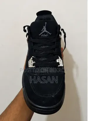 Air Jordan 4 Black Cat Edition