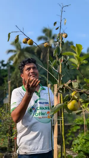 একটা গাছ নয়, আপনার পরিবারের আগামী ১০–২০ বছরের ফলের নিশ্চয়তা!