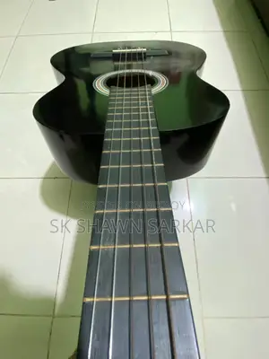Guitar, Hoormusic SC040A-BK