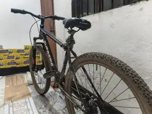Running Cycle
