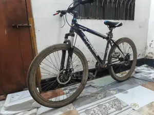 Running Cycle