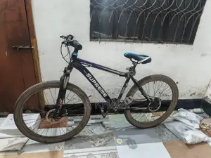 Running Cycle