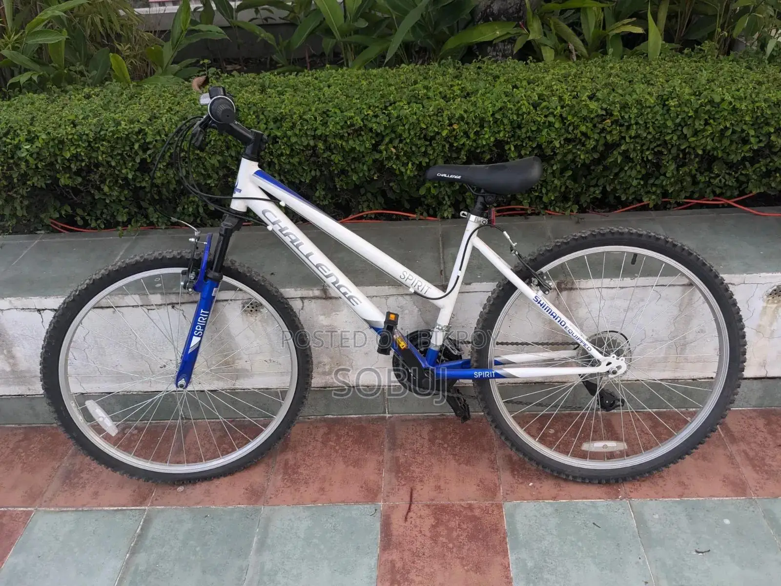 Cycle for sell