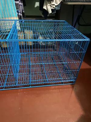 Heavy Bird Cage