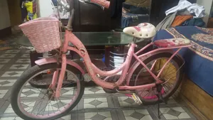 Pink Bicycle