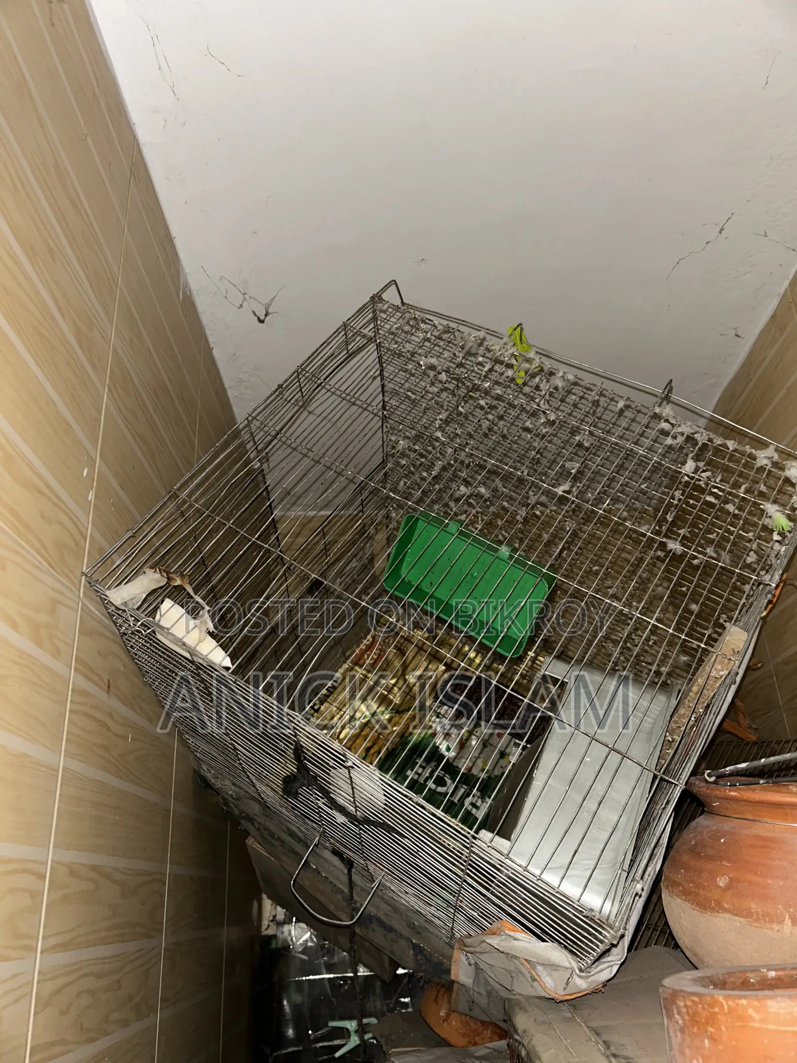 ২৪ × ২৪ খাচা ৩ টা মোটা লোহা