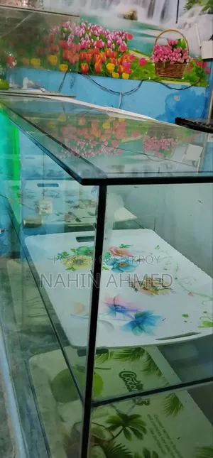 গ্লাস শোকেস