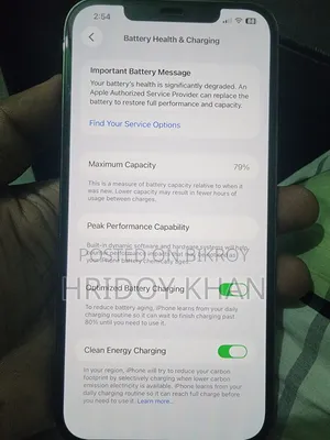Apple iPhone 12 Pro Max 256 GB Gray