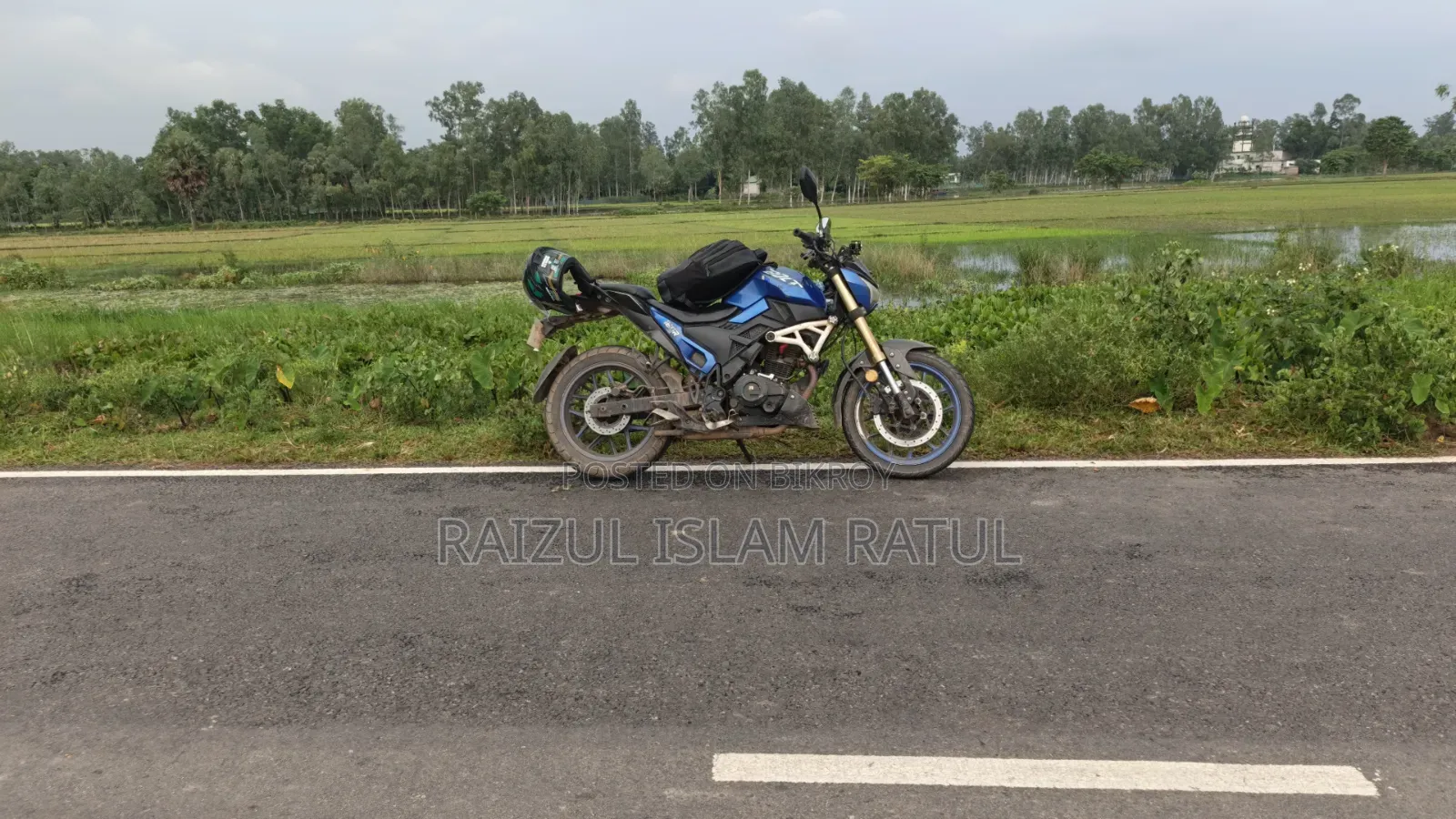 Runner Bolt 165R 2021 Blue