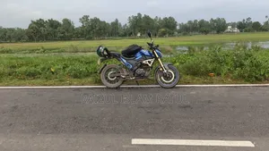 Runner Bolt 165R 2021 Blue
