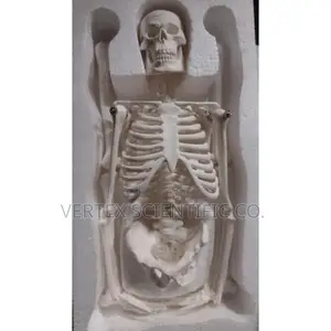 XC-103 Miniature Skeleton