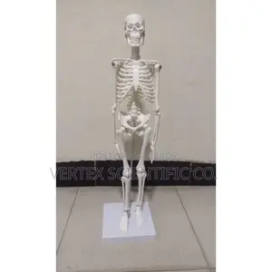 XC-103 Miniature Skeleton