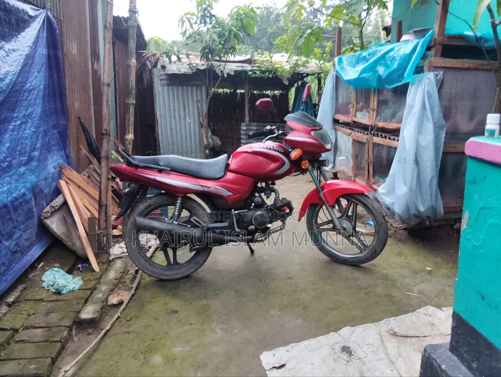 Dayang APOLLO 2010 Red