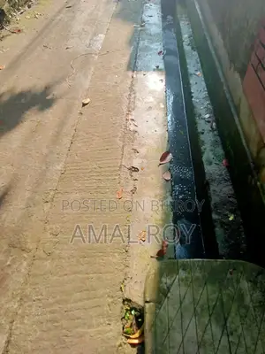 বিলান ধান চাষের জমি বিক্রি হবে (বর্তমানে ধান ও মাছের চাষ এক সাথে চলছে)