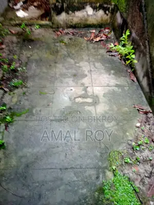 বিলান ধান চাষের জমি বিক্রি হবে (বর্তমানে ধান ও মাছের চাষ এক সাথে চলছে)