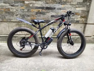 Electric Fat Bike/Cycle