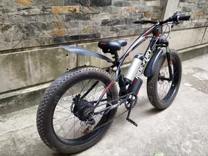 Electric Fat Bike/Cycle