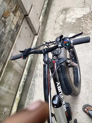 Electric Fat Bike/Cycle