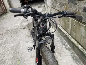Electric Fat Bike/Cycle