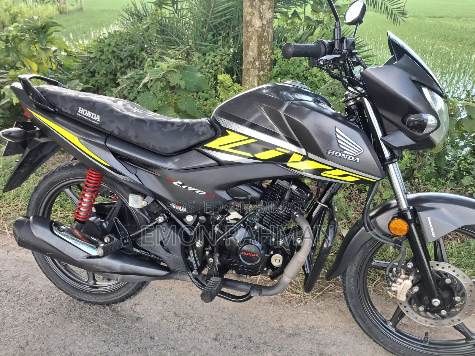 Honda Livo 2023 Gray