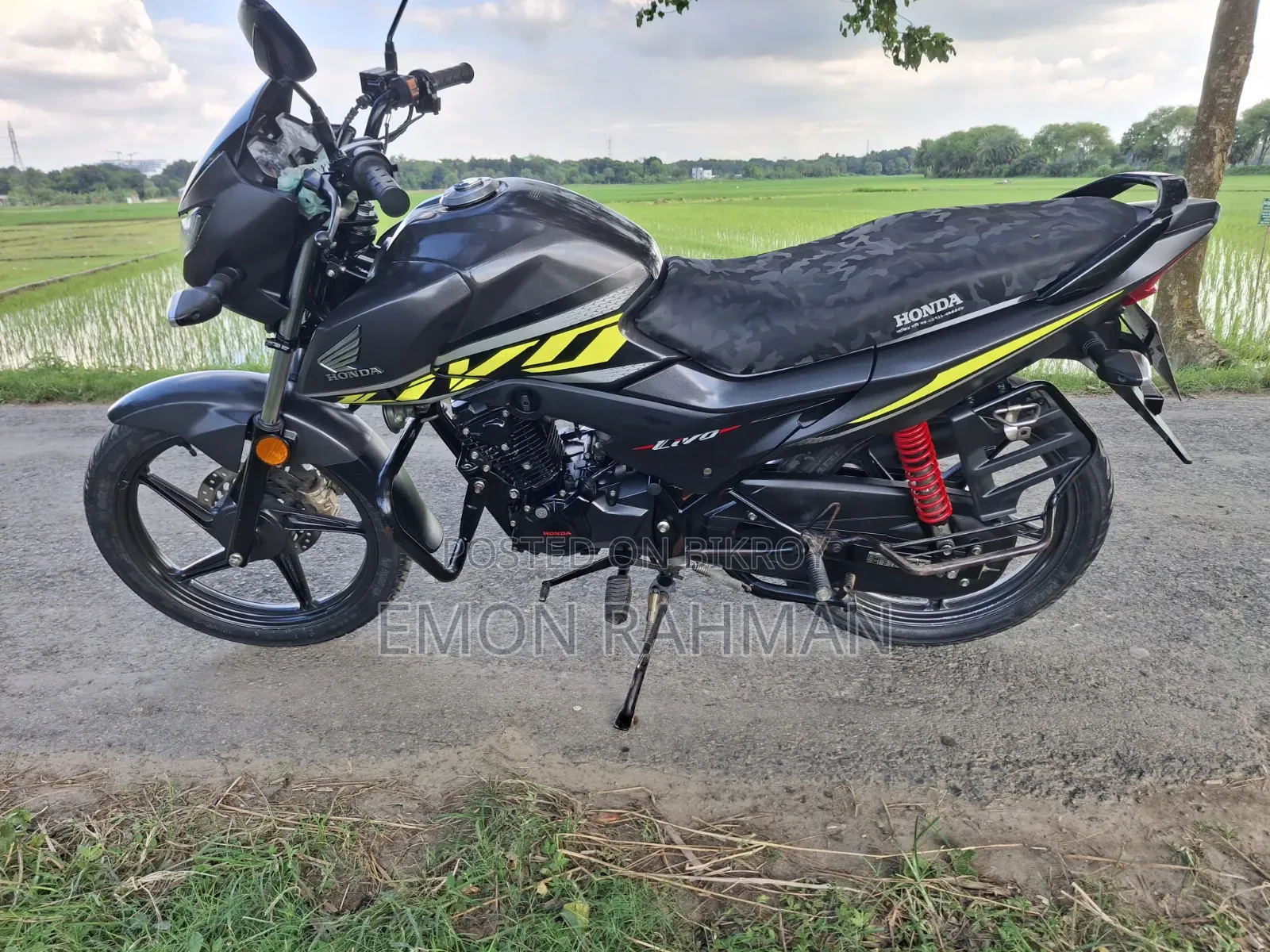 Honda Livo 2023 Gray