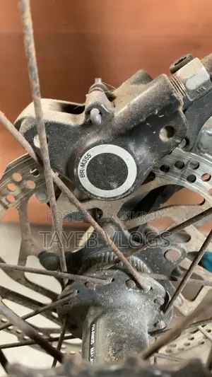Saracen Mantra Pro