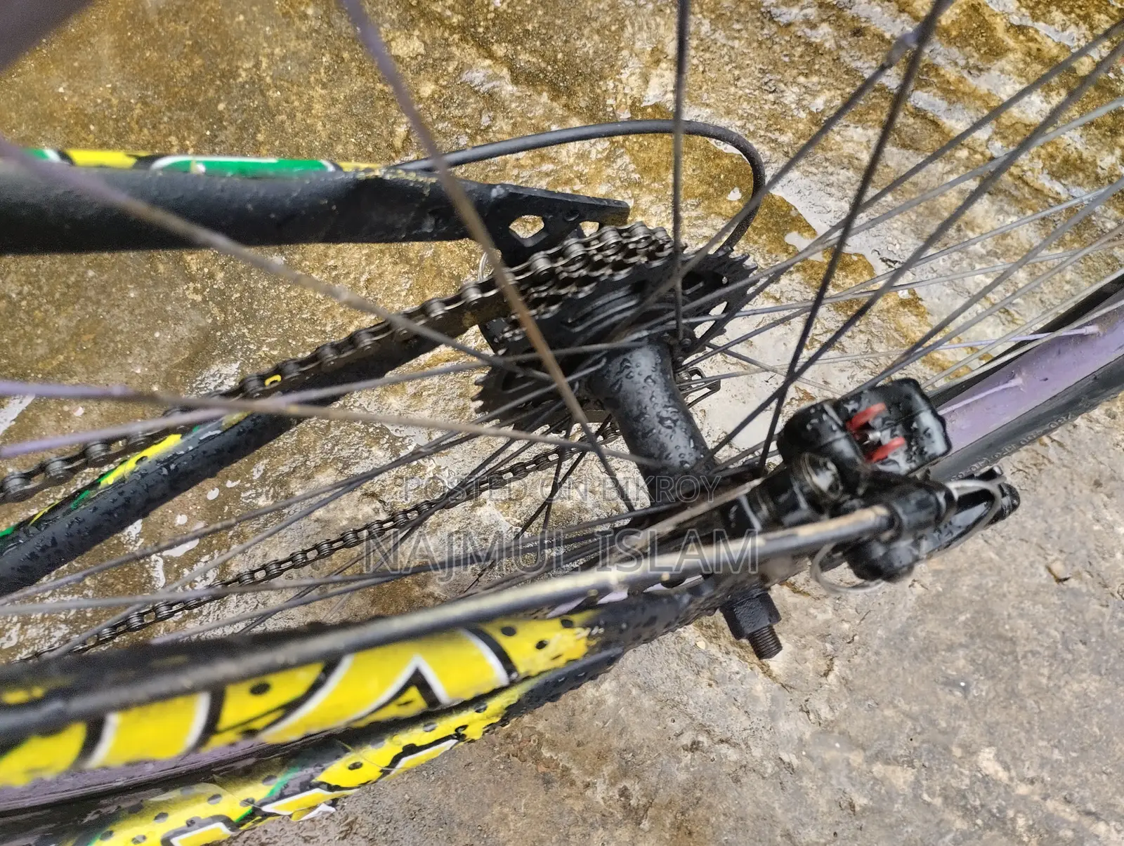 New Akij Eagle 2026 Gray