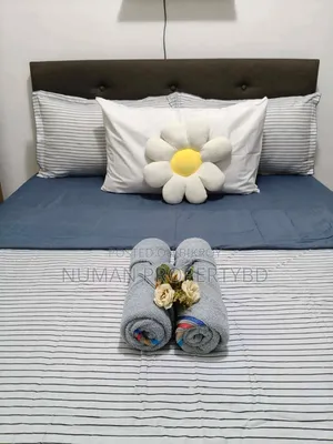 Furnished 3bdrm Apartment in Basundhara for rent