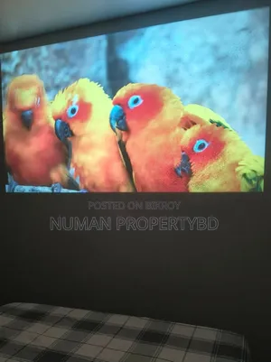 Furnished 3bdrm Apartment in Basundhara for rent