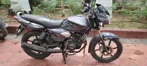 TVS 2016 Gray