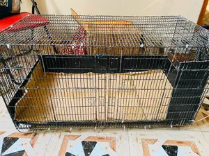18*36 Foldable Cage