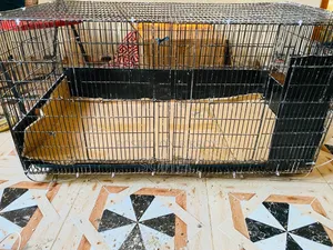 18*36 Foldable Cage