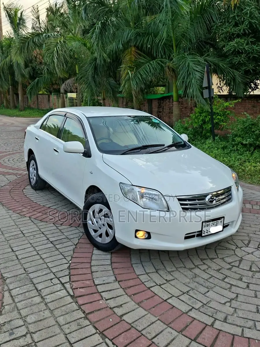 Toyota Axio 2010 Pearl