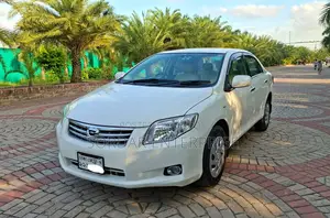 Toyota Axio 2010 Pearl
