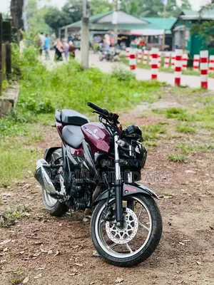 Suzuki 2023