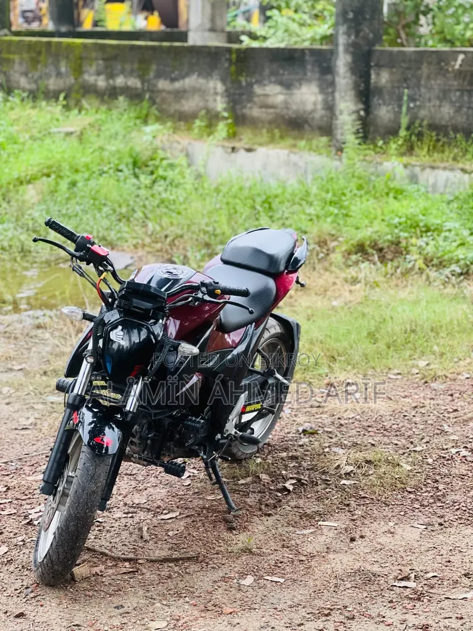 Suzuki 2023