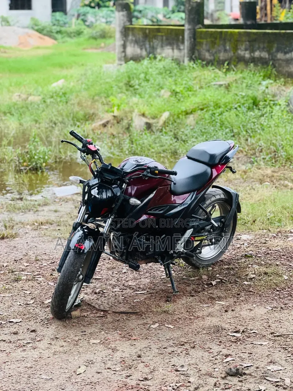 Suzuki 2023
