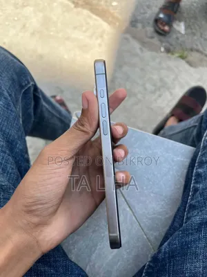 New Apple iPhone 15 Pro Max 256 GB Silver
