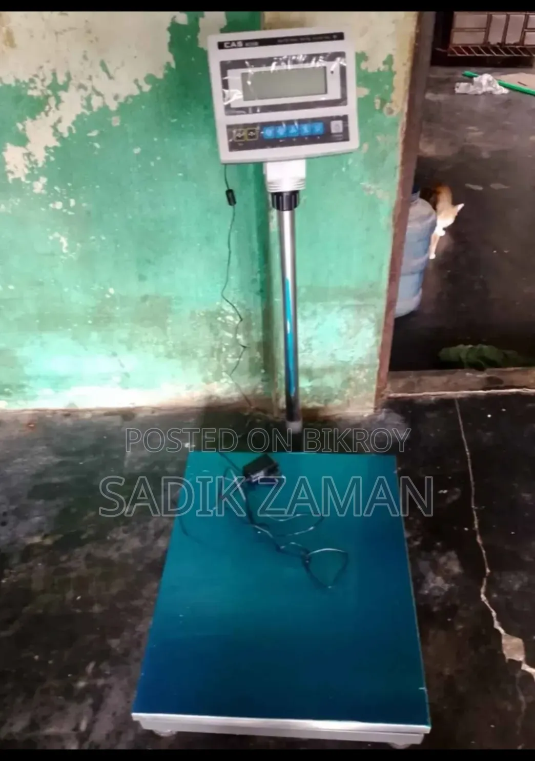Platform Scale