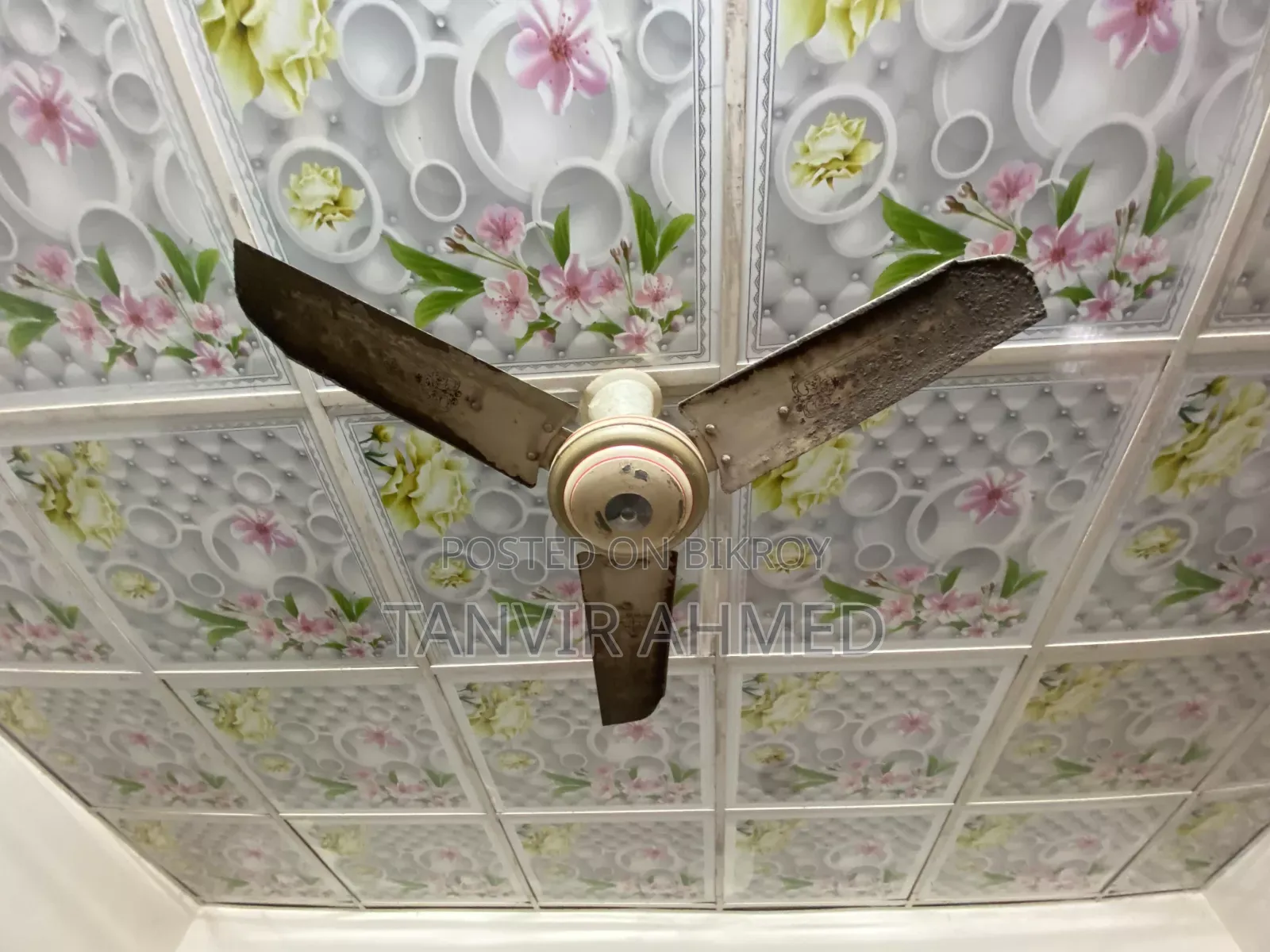 Siling Fan