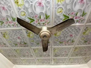 Siling Fan